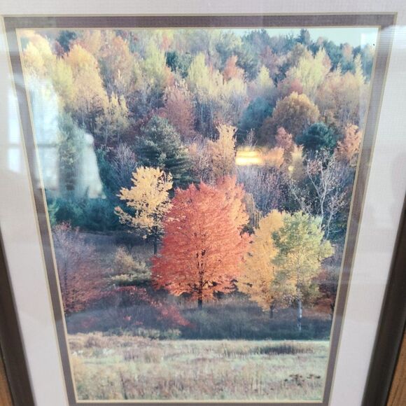 Vintage Autumn Fall Photography Wall Hanging Framed and Matted J Palmer 1988 - Picture 8 of 16